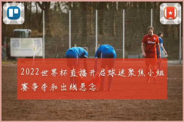 2022世界杯直播开启球迷聚焦小组赛争夺和出线悬念