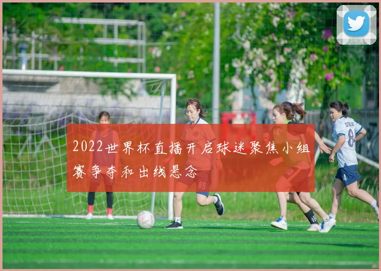 2022世界杯直播开启球迷聚焦小组赛争夺和出线悬念